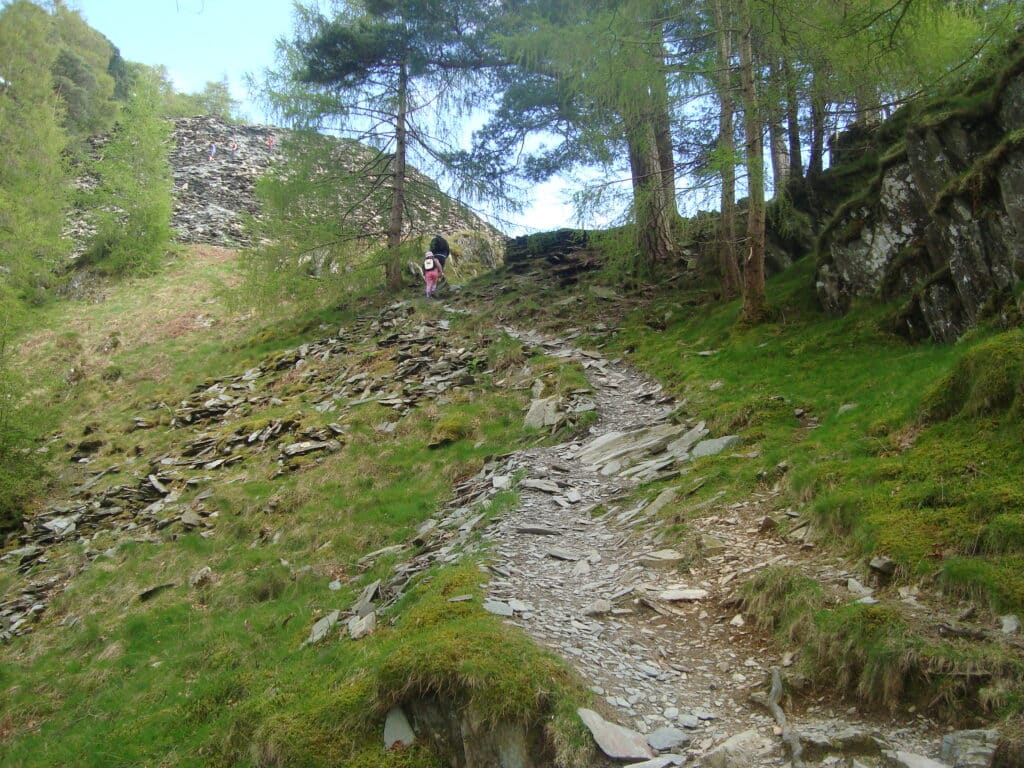 Woodland walking route up Castle Crag in Borrowdale near Keswick
